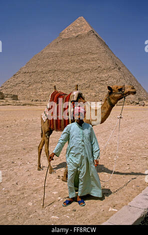 Camel driver and pyramid of Khafre, Giza, Cairo, Egypt, Africa Stock Photo