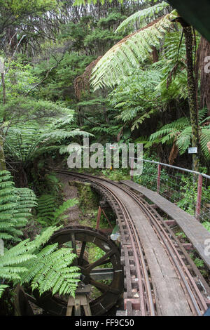 At Driving Creek Railway and Potteries.Near Coromandel Town,Coromandel Peninsula,North Island,New Zealand,NZ, Stock Photo