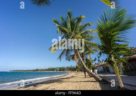 Las Terrenas Beach, Panorama, Dominican Republic Stock Photo