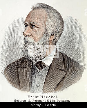 ERNST HAECKEL (1834-1919). /nGerman biologist and professor. Line engraving, 19th century. Stock Photo