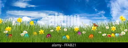 easter meadow with colorful easter eggs and daffodils in front of blue sky Stock Photo