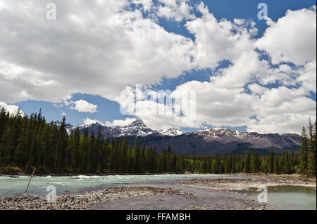 Athabasca River view of  Columbia Icefield in Jasper National Park, Alberta,Canada Stock Photo