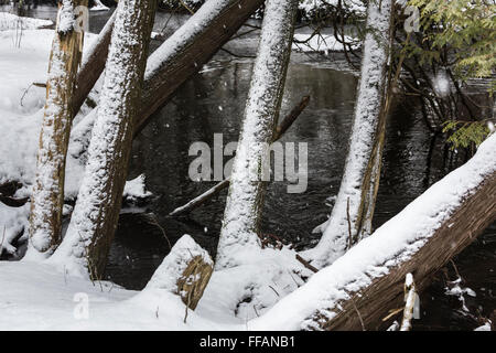 Snow-covered landscape along Quigley Creek, in the Quigley Creek Natural Area, near Stanwood in Mecosta County, Michigan, USA Stock Photo