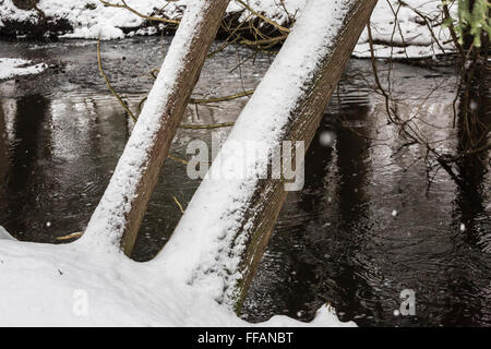 Snow-covered landscape along Quigley Creek, in the Quigley Creek Natural Area, near Stanwood in Mecosta County, Michigan, USA Stock Photo