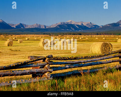 round hay bales below the beaverhead mountains in the upper big hole valley near jackson, montana Stock Photo