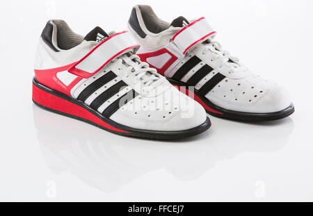 Adidas Olympic weightlifting shoes on a white background with a reflection. Stock Photo