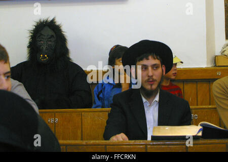 A man dressed up as a gorilla in the congregation during the Megillah reading for Purim in Walford road synagogue. Purim is one of the most entertaining Jewish holidays.  It commemorates the time when the Jewish people living in Persia were saved from extermination from a massacre by Haman. Due to the courage of a young Jewish woman called Esther, it is customary for men dress u and to hold carnival-like celebrations. Stock Photo