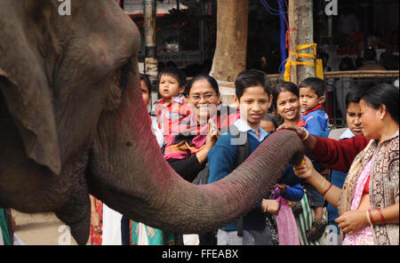Guwahati, India's northeastern state of Assam. 12th Feb, 2016. Devotees offer prayers to an elephant at a temple of Lord Ganesha, an elephant-headed god widely worshiped by Hindus, in Guwahati, capital of India's northeastern state of Assam, Feb. 12, 2016. Credit:  Stringer/Xinhua/Alamy Live News Stock Photo