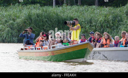 Tourists watching wildlife from boats on the Kinabatangan River, Sabah, Malaysia Stock Photo