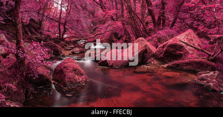 pink forest ireland