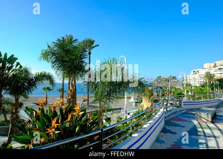 Promenade, paseo marítimo, seafront in late autumn at Almuñécar, Costa Tropical, Andalucia. Spain Stock Photo