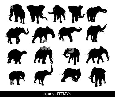 A set of elephant animal silhouettes in various positions Stock Photo