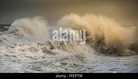 Stormy wave, wave sea, stormy sea, huge wave, crashing wave, powerful wave. white horses on a wave. ocean, storm. Stock Photo