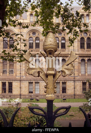 Detail of botanical motif on the iron fence surrounding the Natural History Museum, London, England. Stock Photo