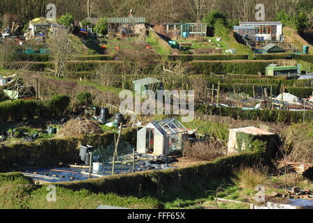 Allotment gardens with traditional privet hedges on a hillside near Rivelin in the city of Sheffield, Yorkshire England UK Stock Photo