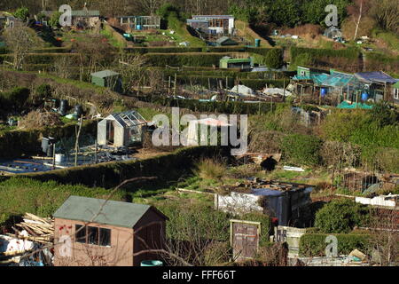 Allotment gardens with traditional privet hedges on a hillside near Rivelin in the city of Sheffield, Yorkshire England UK Stock Photo