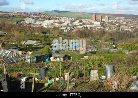 Hagg Lane allotments on a hillside in Sheffield, South Yorkshire looking to hills on the city's rural fringe, England UK Stock Photo