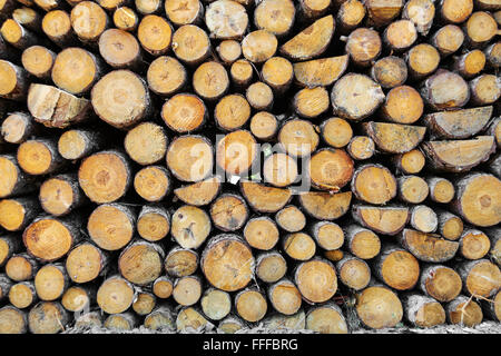 Stacked Logs Texture, Natural Background Stock Photo - Alamy