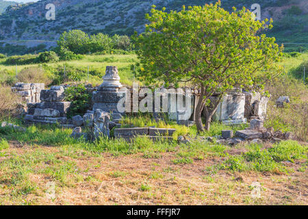 Ephesus, Selcuk, Izmir Province, Turkey Stock Photo