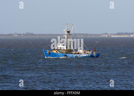 Fishing boat sailing from Lauwersoog Harbour, Friesland, Netherlands. Wadden island of Schiermonnikoog clearly visible in back Stock Photo