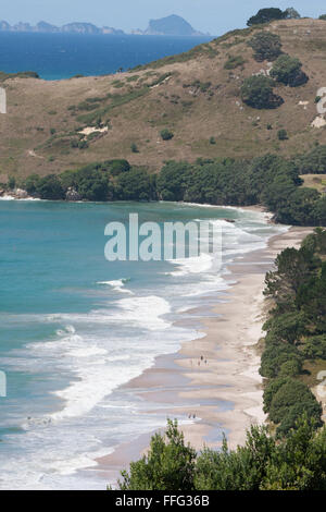 Hahei Beach,viewed from Grange Road,looking south, Coromandel Peninsula,North Island,New Zealand,N.Z.,Australasia,Oceania, Stock Photo