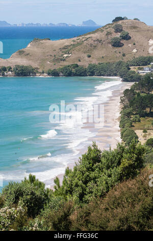 Hahei Beach,viewed from Grange Road,looking south, Coromandel Peninsula,North Island,New Zealand,N.Z.,Australasia,Oceania, Stock Photo