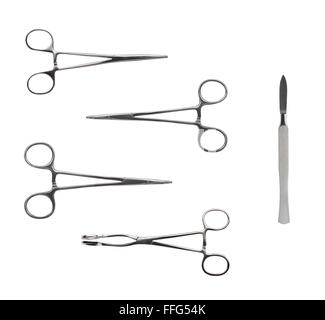 Close up of four different stainless steel surgical forceps and scalpel isolated on white background Stock Photo