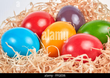 Six different colored easter eggs in straw as easter nest. Stock Photo