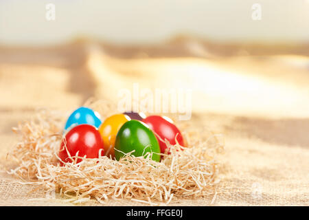 Straw easter nest with colorful easter eggs and sunlight in the background. Stock Photo