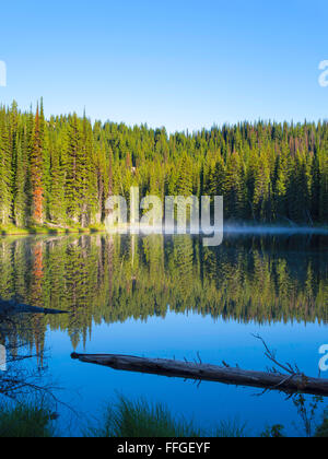 The morning sun causes steam to rise off of Horseshoe Lake, deep in the Clearwater National Forest, Idaho, United States. Stock Photo