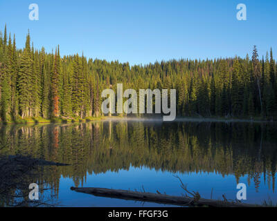 The morning sun causes steam to rise off of Horseshoe Lake, deep in the Clearwater National Forest, Idaho, United States. Stock Photo