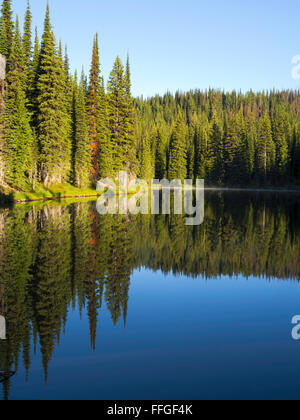 The morning sun causes steam to rise off of Horseshoe Lake, deep in the Clearwater National Forest, Idaho, United States. Stock Photo