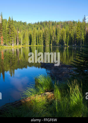 The morning sun causes steam to rise off of Horseshoe Lake, deep in the Clearwater National Forest, Idaho, United States. Stock Photo