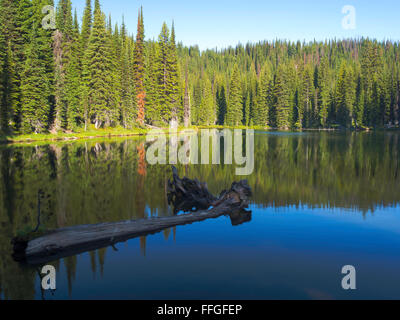 The morning sun causes steam to rise off of Horseshoe Lake, deep in the Clearwater National Forest, Idaho, United States. Stock Photo