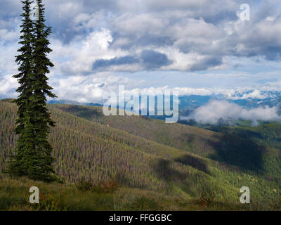 High angle view of the Clearwater National Forest in northern Idaho, United States, just north of the Lochsa River. Stock Photo