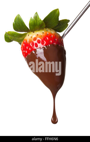 Strawberry dipped in chocolate on fondue skewer, isolated on the white background, clipping path included. Stock Photo
