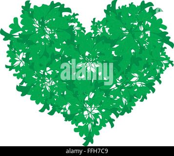 Love Concept, Illustration of Green Parsley Leaves in A Heart Shape Isolated on A White Background. Stock Vector