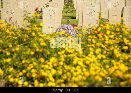 Commonwealth war cemetery, Anzio, Italy. Stock Photo