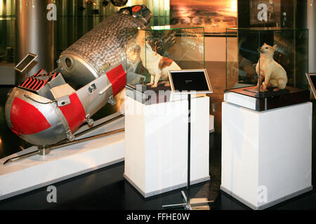 The Soviet space dogs Belka (Squirrel) and Strelka (Little Arrow) at the Memorial Museum of Cosmonautics in Moscow, Russia Stock Photo