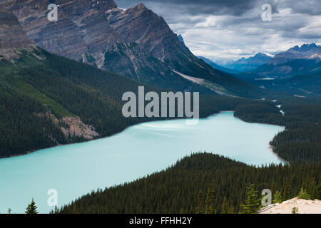 Aerial view of the beautiful Peyto Lake at Banff National Park, Canada ...
