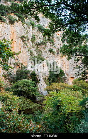 Griechenland, Kreta, Agios Antonios-Schlucht bei Karines südlich von Rethimnon. Stock Photo