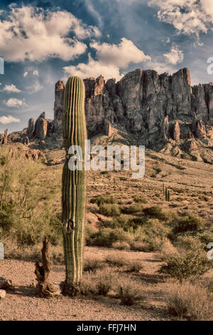 An image of the Superstition desert in Arizona shows the rugged detail of a dry wilderness with a saguaro cactus Stock Photo