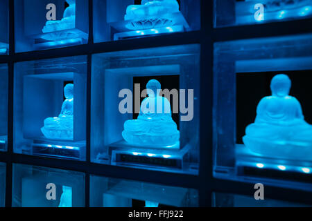 The Ruriden memorial hall at the Koukoko-ji temple on February 11, 2016 in Tokyo, Japan. In a country with an ageing population and a premium on space it is a modern collective tomb. Inside the hexagonal mausoleum there are over 2000 glass Buddhas lit by LED lights. Behind the Buddhas are compartments to store the ashes of the deceased. The light display changes color and pattern according to the season and time, and using a card reader system visitors can touch their card and display will change to indicate the Buddha representing their deceased. © Martin Hladik/AFLO/Alamy Live News Stock Photo