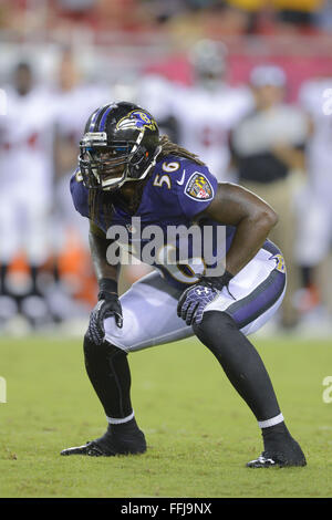 Baltimore Ravens linebacker Josh Bynes (56) in action during the second ...