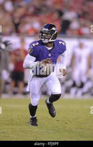 Baltimore Ravens quarterback Tyrod Taylor looks to pass during the ...