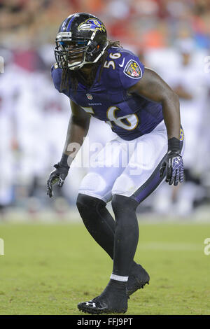 Baltimore Ravens linebacker Josh Bynes (56) in action during the second ...