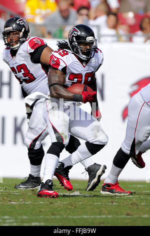 Tampa, FL, USA. 17th Nov, 2013. Atlanta Falcons running back Steven Jackson (39) during the Tampa Bay Buccaneers 41-28 win at Raymond James Stadium on Nov. 17, 2013 in Tampa, Florida. ZUMA PRESS/ Scott A. Miller © Scott A. Miller/ZUMA Wire/Alamy Live News Stock Photo