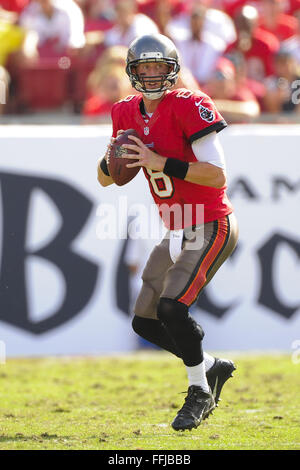 Tampa, FL, USA. 17th Nov, 2013. Tampa Bay Buccaneers quarterback Mike Glennon (8) during the Buccaneers 41-28 win over the Atlanta Falcons at Raymond James Stadium on Nov. 17, 2013 in Tampa, Florida. ZUMA PRESS/ Scott A. Miller © Scott A. Miller/ZUMA Wire/Alamy Live News Stock Photo