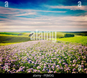Rolling fields of Moravia Stock Photo - Alamy