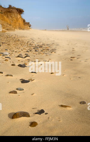 Pebbles on Covehithe beach, with windblown sand and crumbling cliffs, Covehithe, Nov 2009, Suffolk Stock Photo